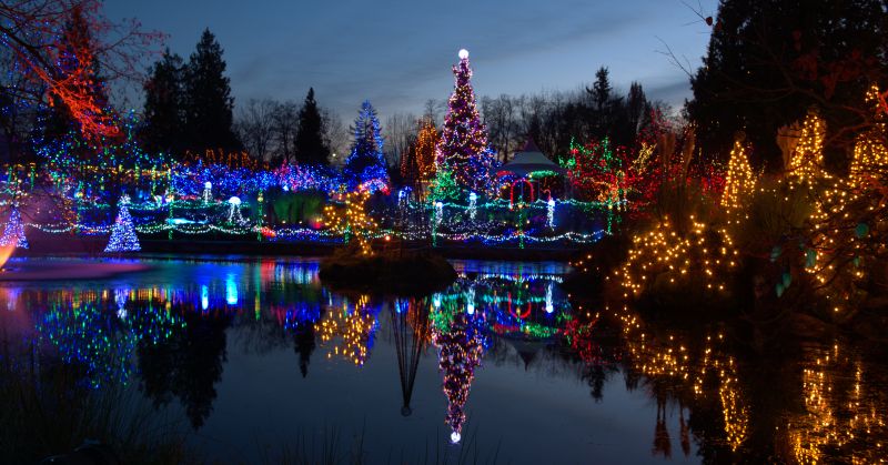 Christmas Lights Hanging