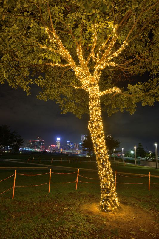 Cost of Christmas Lights Hanging — Cost of Christmas Lights Hanging